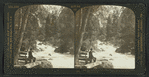 The beautiful rapids of the Merced River, Yosemite Valley, Cal., U.S.A.