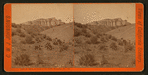 Coral de Tierre, or Coral of the Earth, Monterey Co., Cali.