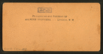 [A view of an unidentified town, possibly Monterey.]