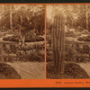 Arizona Garden, Hotel Del Monte, Monterey.