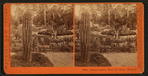 Arizona Garden, Hotel Del Monte, Monterey.