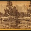 On the Merced River, Cathedral Rocks in the distance.