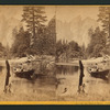On the Merced River, Cathedral Rocks in the distance.
