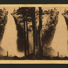 Nevada Fall, 600 feet high.