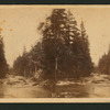 The Merced River, looking east.