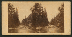 The Merced River, looking east.