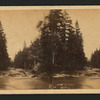 The Merced River, looking east.