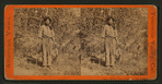 Indian Tom, Guide and mail carrier.