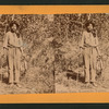Indian Tom, Yosemite Valley.
