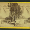 Nevada Falls, 700 ft. high.