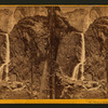 Third or Lower Yosemite Falls, 600 ft. high.