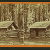 First log hut erected in the grove, Mariposa Grove.