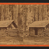 First log hut erected in the grove, Mariposa Grove.