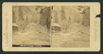 Rock Cottage, Yosemite.