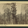 El Capitan, Yosemite Valley.