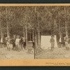 Our camp in Yosemite Valley, U.S.A.