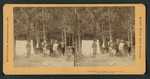 Our camp in Yosemite Valley, U.S.A.