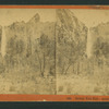 Bridal Veil Fall ; most graceful in the Valley.
