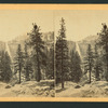 Nevada Falls, 700 ft. high.