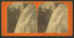 Head of Vernal [Fall].
