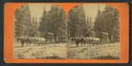 Pioneer Stage, Yosemite Valley.
