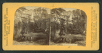 Yosemite Valley, [Calif.]