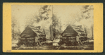 First Log Cabin, Yosemite Valley.