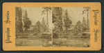 Merced R., Hutching's Hotel and Sentinel Rock, Cal.
