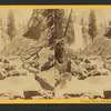 Vernal Falls, 350 feet high.