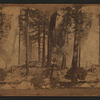 Nevada Falls, Yosemite Val.