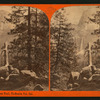 View from Mariposa Trail, Yo-Semite Valley, Cal.