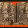 Hutchin's Bridge, Yo Semite Valley, Cal.