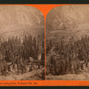 View from upper Bench,looking South, Yo-Semite Val. Cal.