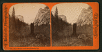 Mount Watkins & Old Chief, Yo Semite Val.