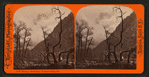 Morning - South Dome, Yo Semite Valley, Cal.