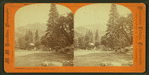 Yosemite Falls Hotel, Yosemite Valley, Cal.