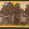 View on Merced River, near the Bridal Veil Fall, Yo-Semite Valley, Mariposa county.