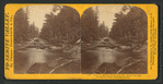 View on Merced River, near the Bridal Veil Fall, Yo-Semite Valley, Mariposa county.