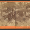 Reflection of the Three Brothers in Merced River, Yo-Semite Valley, Mariposa County.