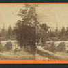 Mirror Lake, Yo-Semite Valley, Mariposa County.