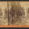 The Vernal Fall, 350 feet high, Yo-Semite Valley, Mariposa County.