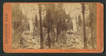 The Vernal Fall, 350 feet high, Yo-Semite Valley, Mariposa County.