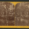 View of the Merced River, near the Bridge, Yo-Semite Valley, Marioposa County.