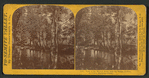 View of the Merced River, near the Bridge, Yo-Semite Valley, Marioposa County.