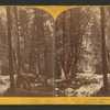 Lower Yo-Semite Fall from the Ford, Yo-Semite Valley, Mariposa County.