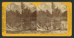 The Ferry, Merced River, Yosemite Valley.