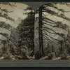 Looking up the Valley, Yosemite Valley, Cal. U.S.A.