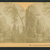 Sentinel Rock and Hutchin's Hotel, Cal.