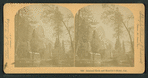 Sentinel Rock and Hutchin's Hotel, Cal.