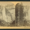 Nevada Falls, 700 feet, Cal.